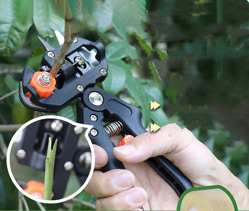 Pruning Tree Grafting Clippers - Halri