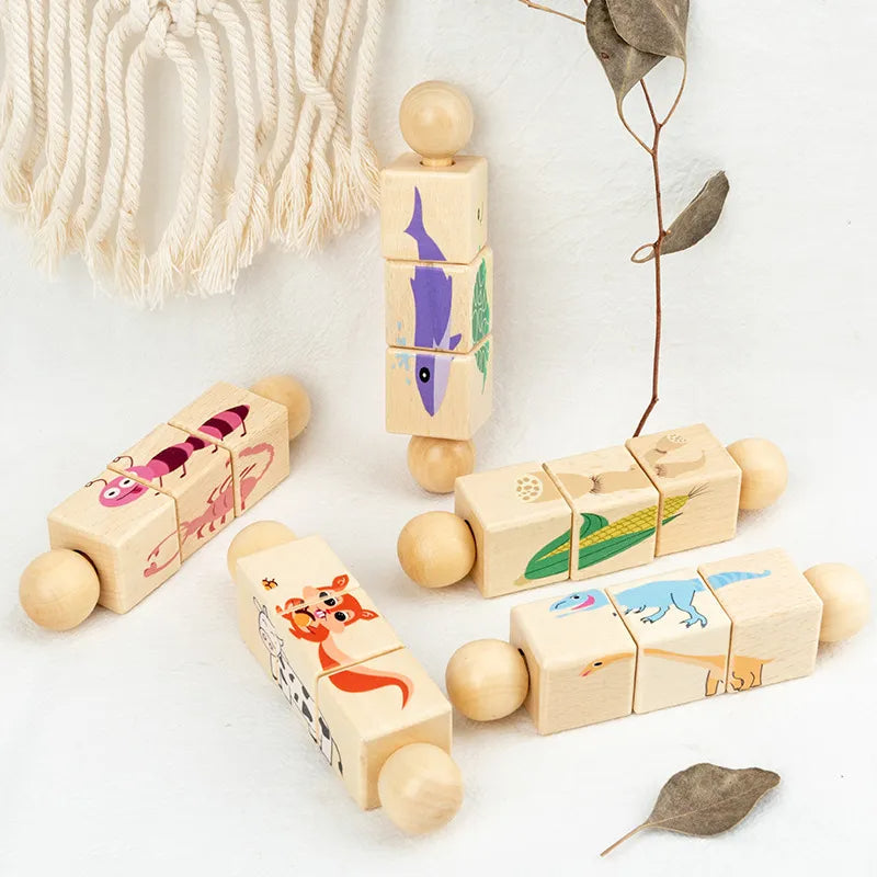 Classic Wood Brain Teaser Toy For Children - Halri
