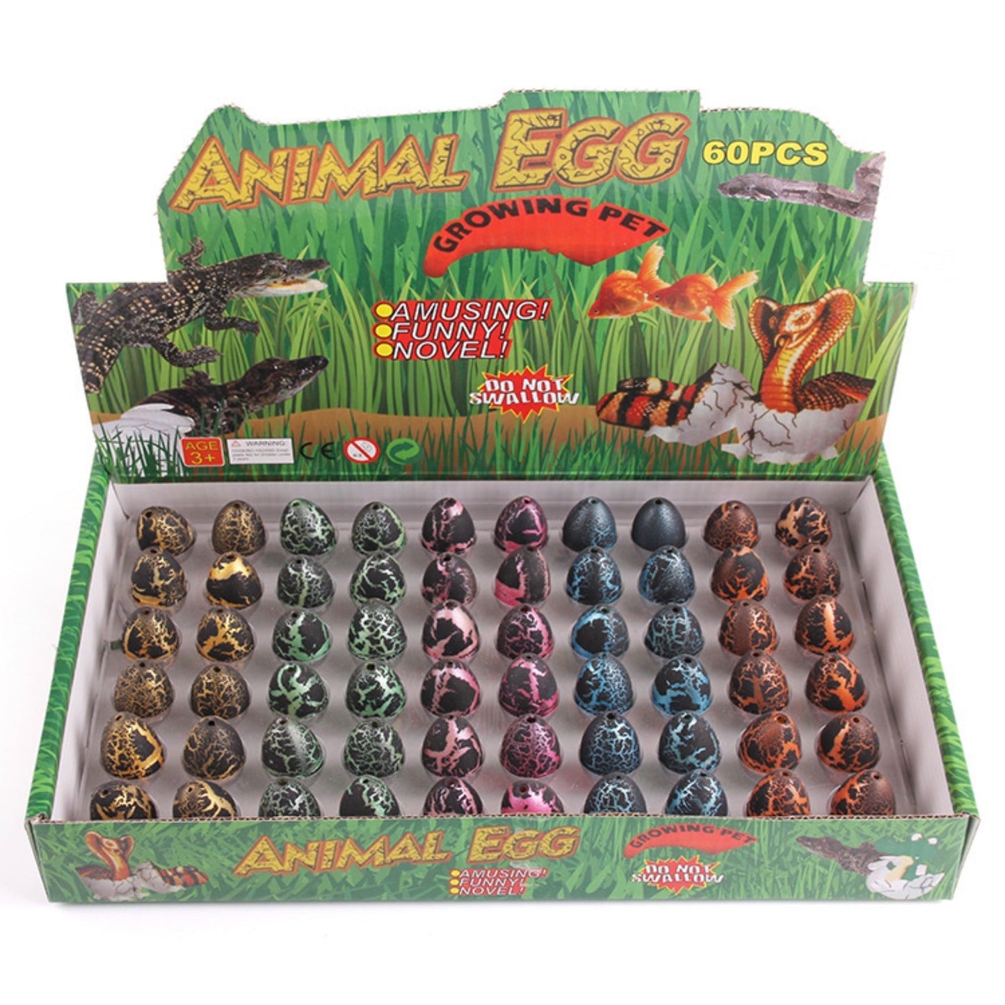 Kit de jeu de croissance d'œufs de dinosaures colorés