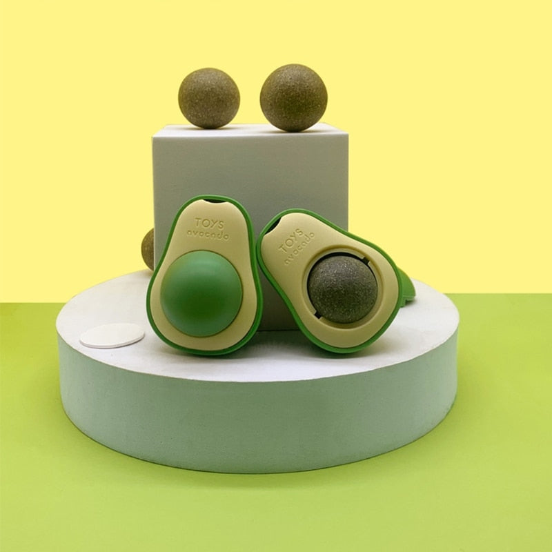 Fun Cat Interactive Wall Toy - Halri