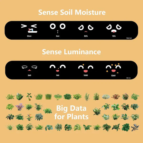 Intelligent Self Watering Ivy Planter