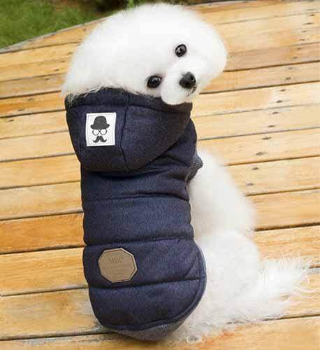 Veste polaire chaude pour chats et chiens