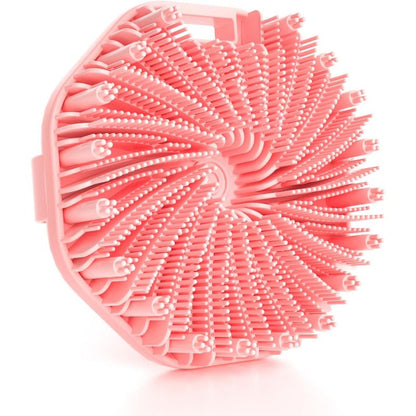Brosse exfoliante antibactérienne pour le corps