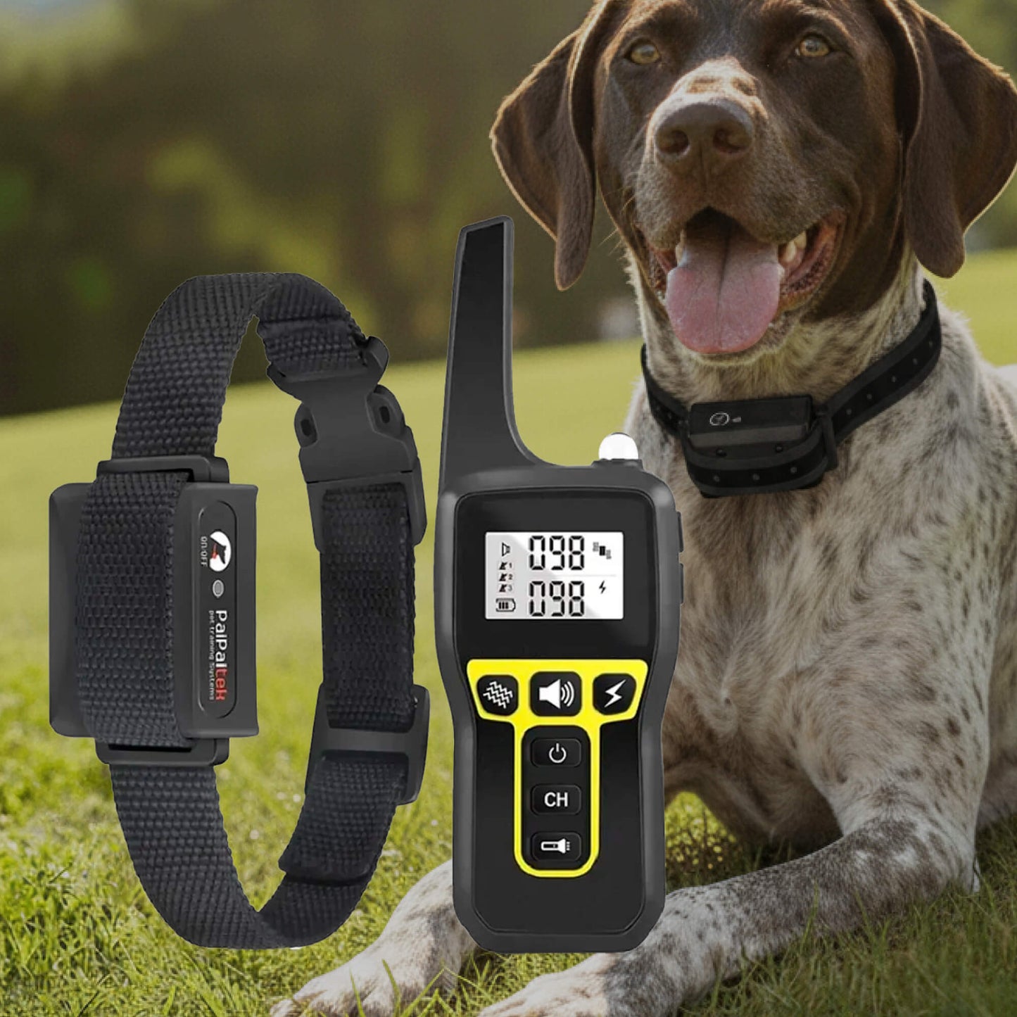 Adjustable Dog Training Collar with Sound, Vibe & Shock Modes