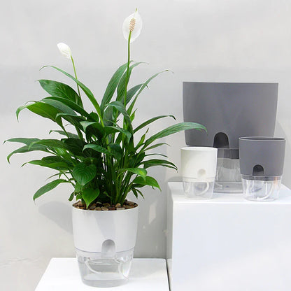 Automatic Watering Flower Pot - Halri