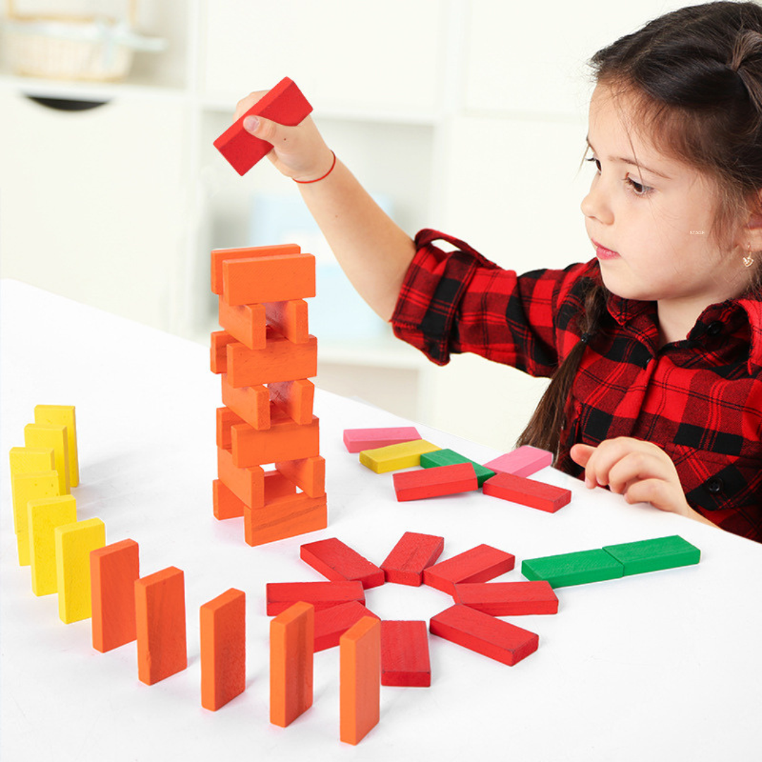 Natural Wood Educational Domino Blocks - Halri