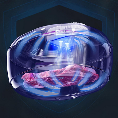 Fast 6-in-1 Food Defroster and Thawing Machine