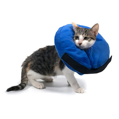 Comfy Pet Recovery Collar Protective Dog Cone