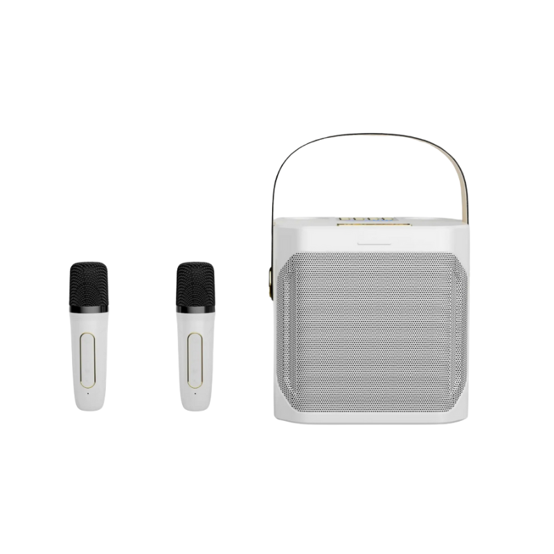 Wireless Karaoke Speaker System with 2 Mics