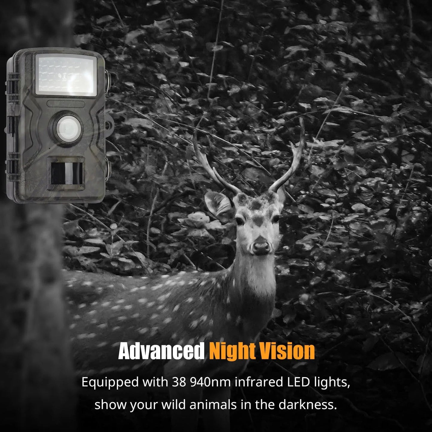 HD Waterproof Wildlife Camera