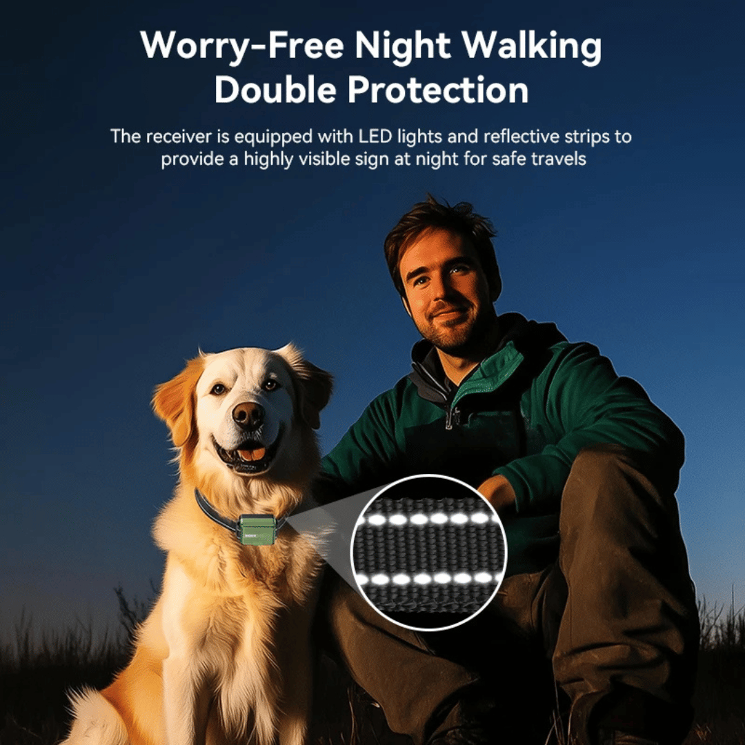 Advanced 300m Rechargeable Dog Training Collar with Remote