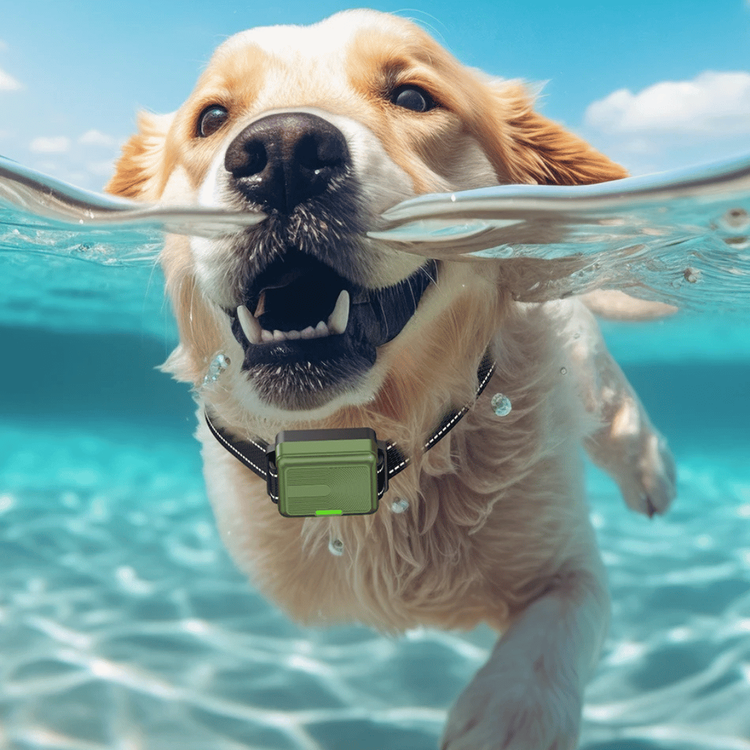 Advanced 300m Rechargeable Dog Training Collar with Remote