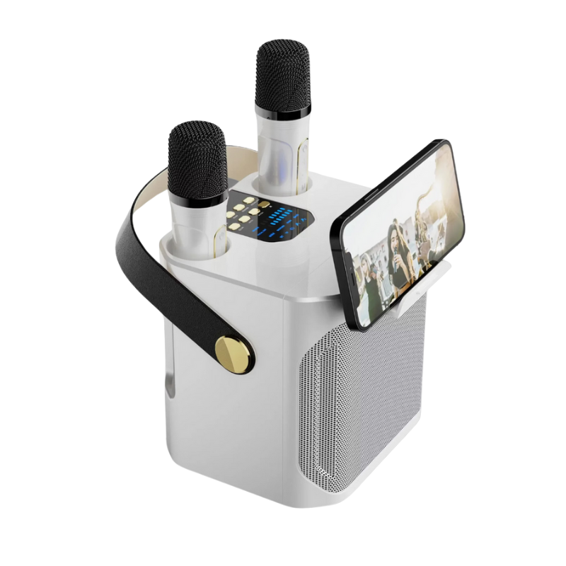 Wireless Karaoke Speaker System with 2 Mics