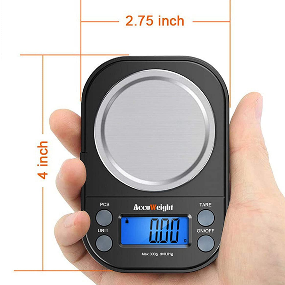 Accurate Portable Small Digital Weight Scale