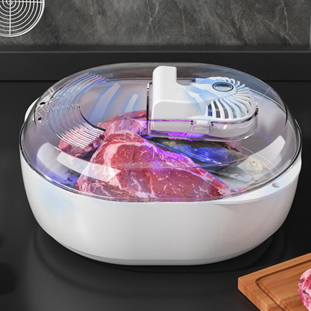 Fast 6-in-1 Food Defroster and Thawing Machine - Halri