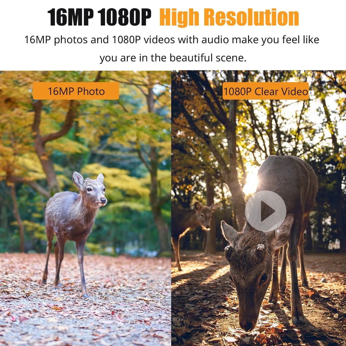 HD Waterproof Wildlife Camera