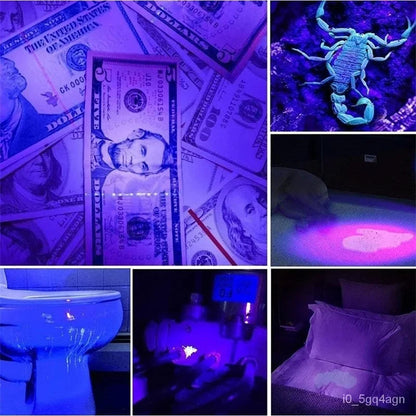Bright Black Light Flashlight for Bed Bugs and Stains