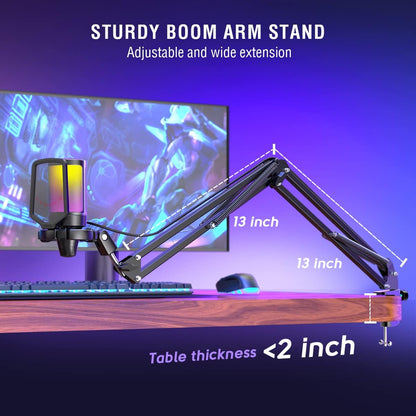 Pro Studio USB Computer Microphone
