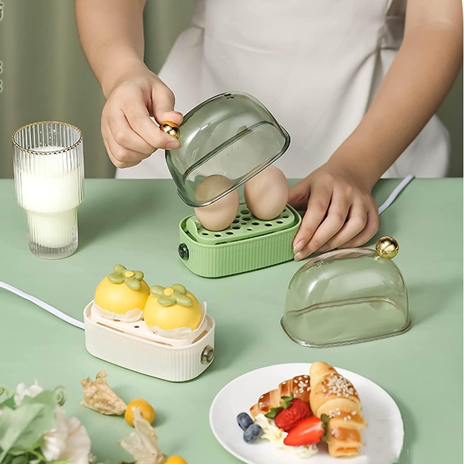 Compact Electric 2 Egg Boiler - Halri