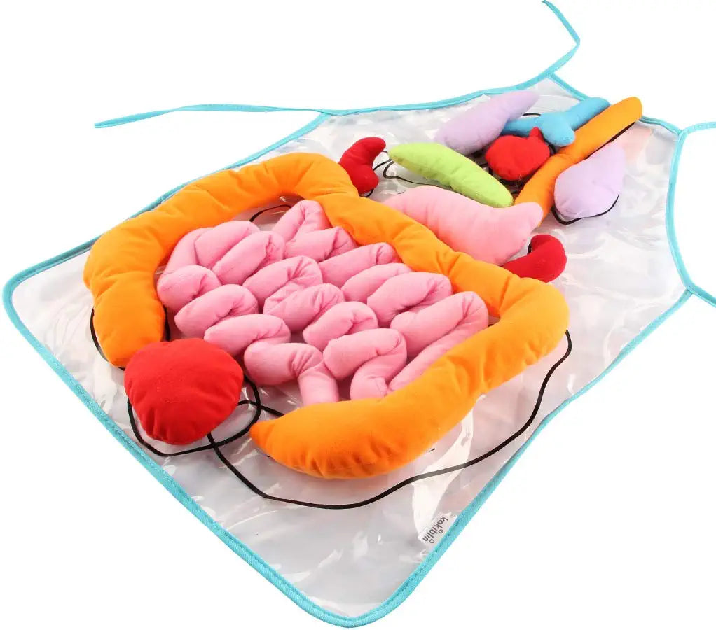 Fun Human Body Apron for Kids - Halri