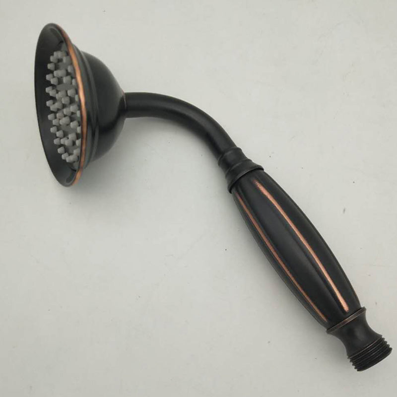 Classic Gold Showerhead with Handle