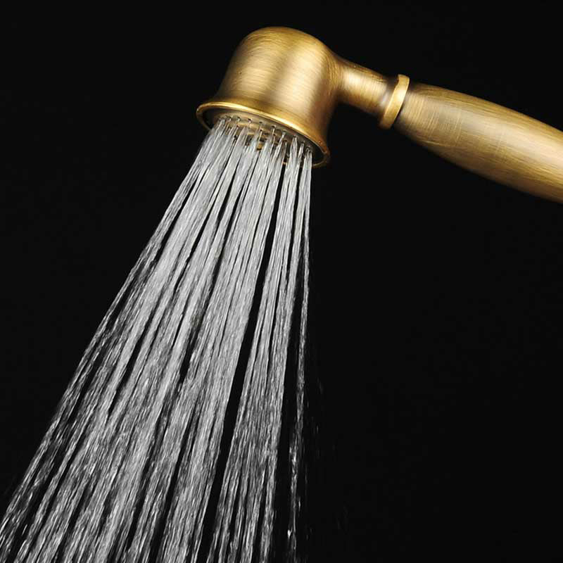 Classic Gold Showerhead with Handle - Halri