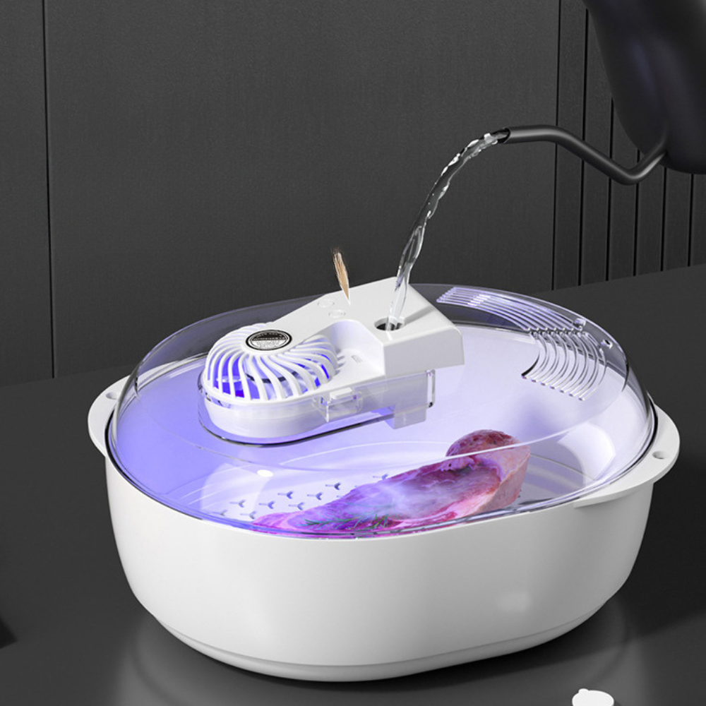 Fast 6-in-1 Food Defroster and Thawing Machine