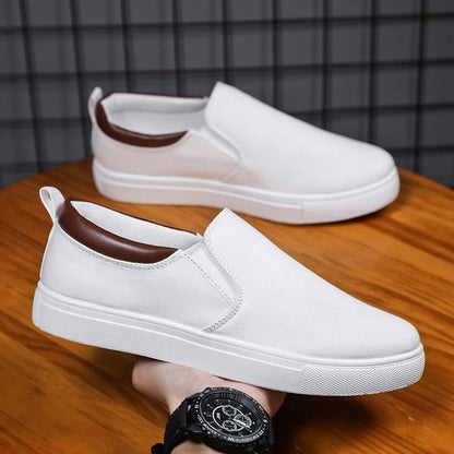 Chaussures décontractées en toile pour hommes