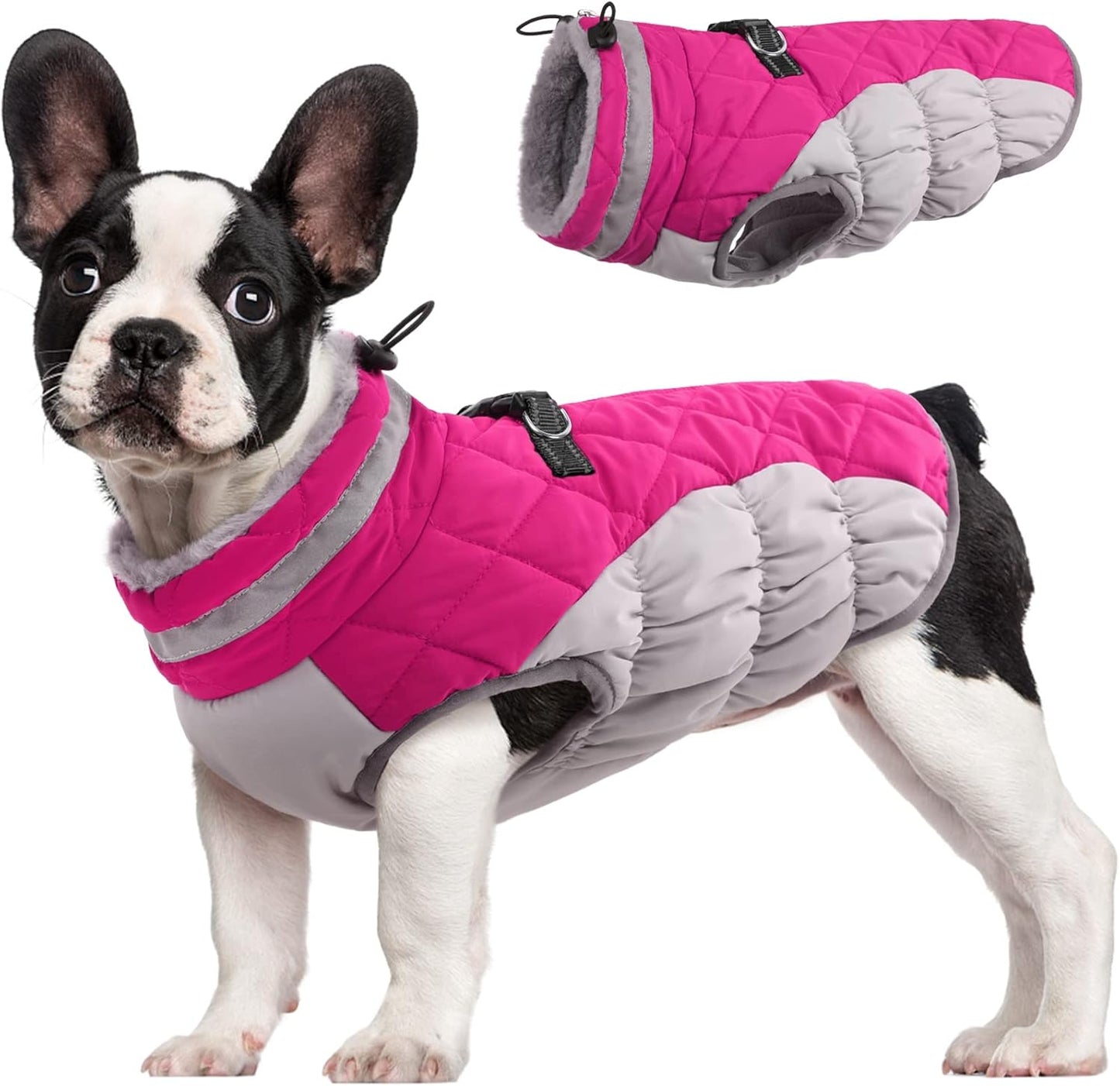 Manteau chaud et imperméable pour chien avec bande réfléchissante