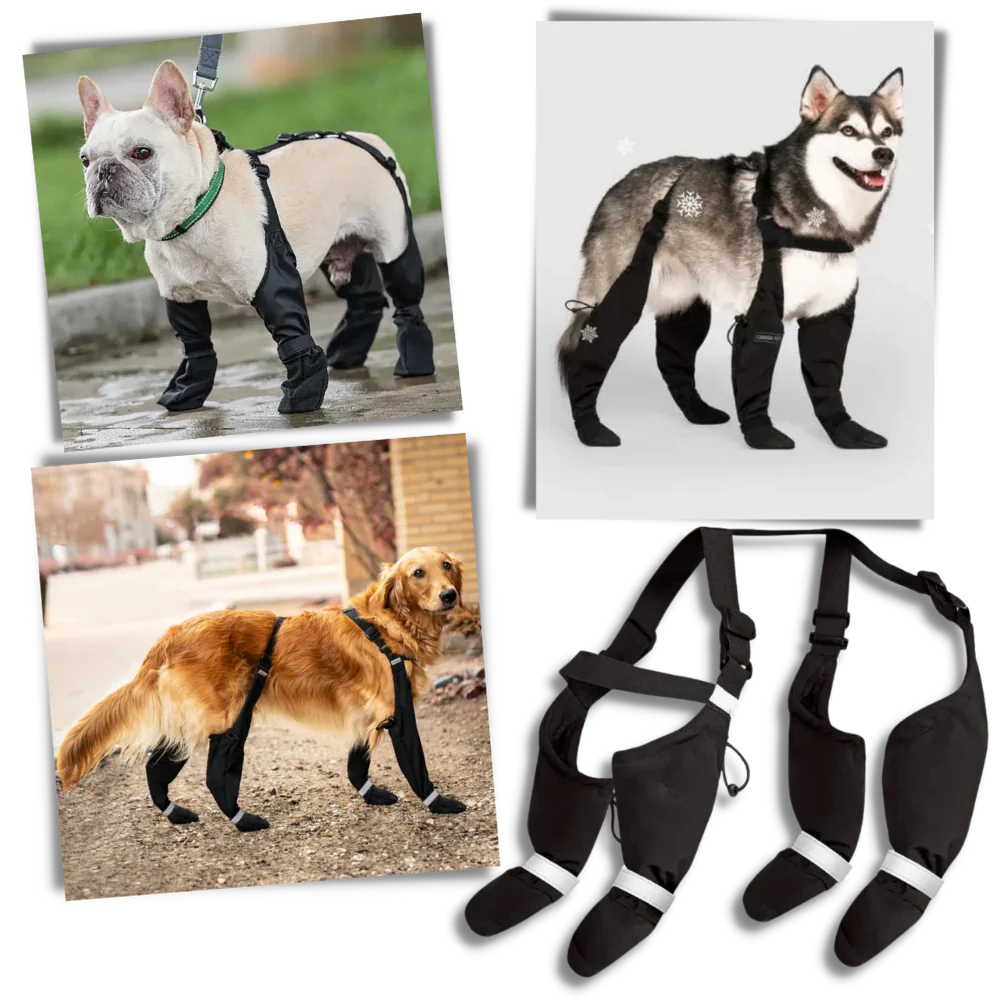 Waterproof Puppy Suspension Boots - Halri