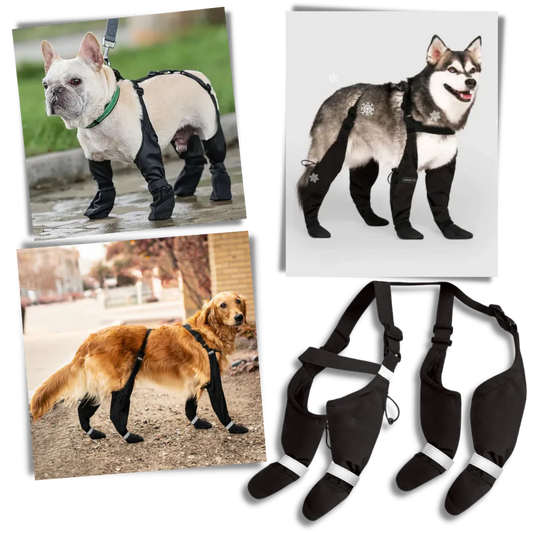 Waterproof Puppy Suspension Boots - Halri