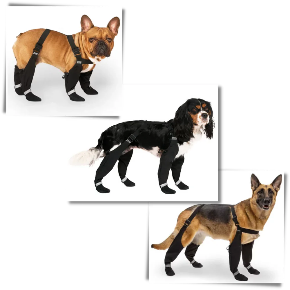 Bottes de suspension imperméables pour chiots