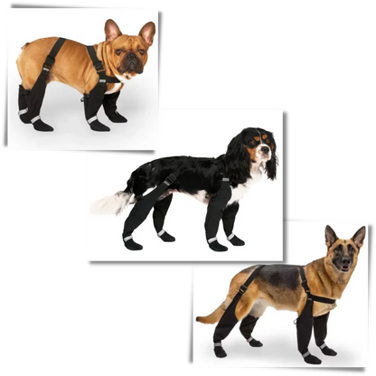 Bottes de suspension imperméables pour chiots