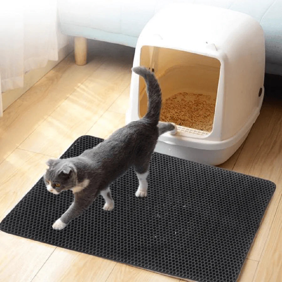 Solution pour litière sans odeur pour chats 