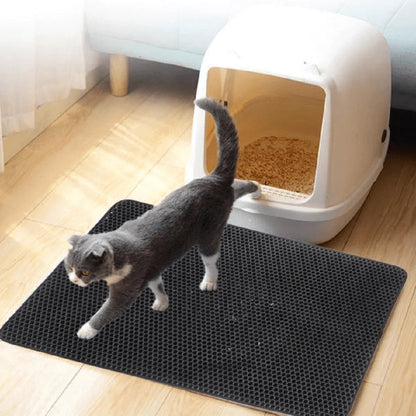 Solution pour litière sans odeur pour chats 