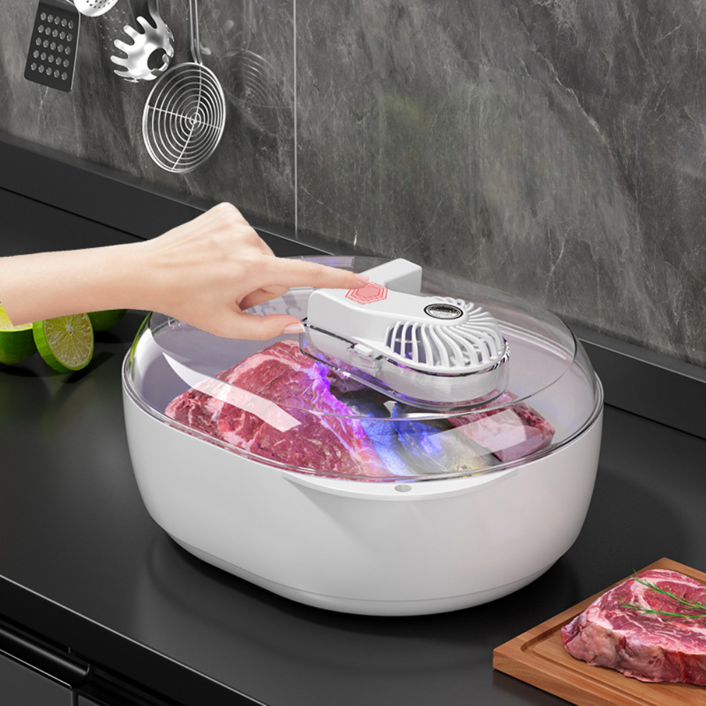 Fast 6-in-1 Food Defroster and Thawing Machine