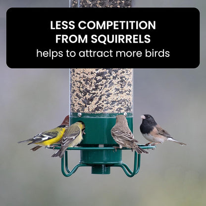 Wild Bird Friendly Feeder Cage