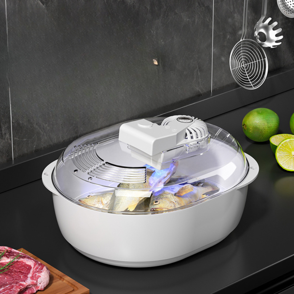 Fast 6-in-1 Food Defroster and Thawing Machine