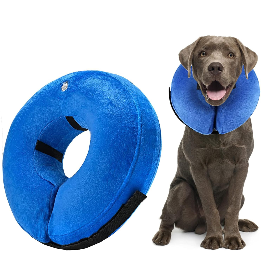 Comfy Pet Recovery Collar Protective Dog Cone
