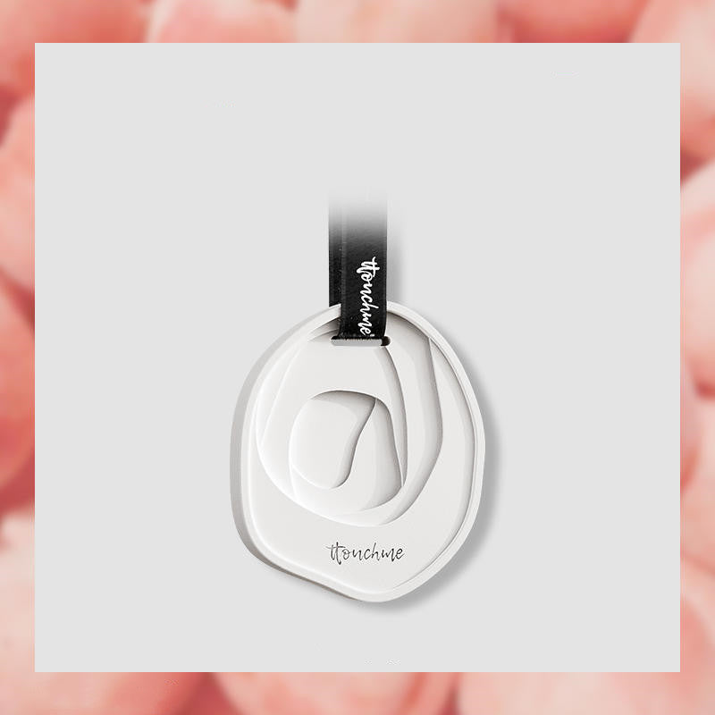 Désodorisant pour voiture et parfum d'intérieur Fresh Scent 