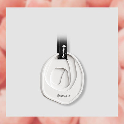 Désodorisant pour voiture et parfum d'intérieur Fresh Scent 