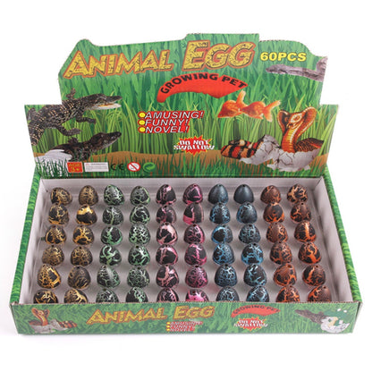 Kit de jeu de croissance d'œufs de dinosaures colorés 