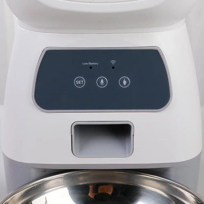 Automatic Pet Food Dispenser For Dogs Cats