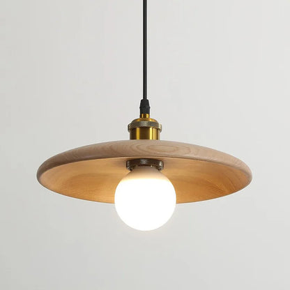 Modern Glass Pendant LED Ceiling Light Fixture - Halri