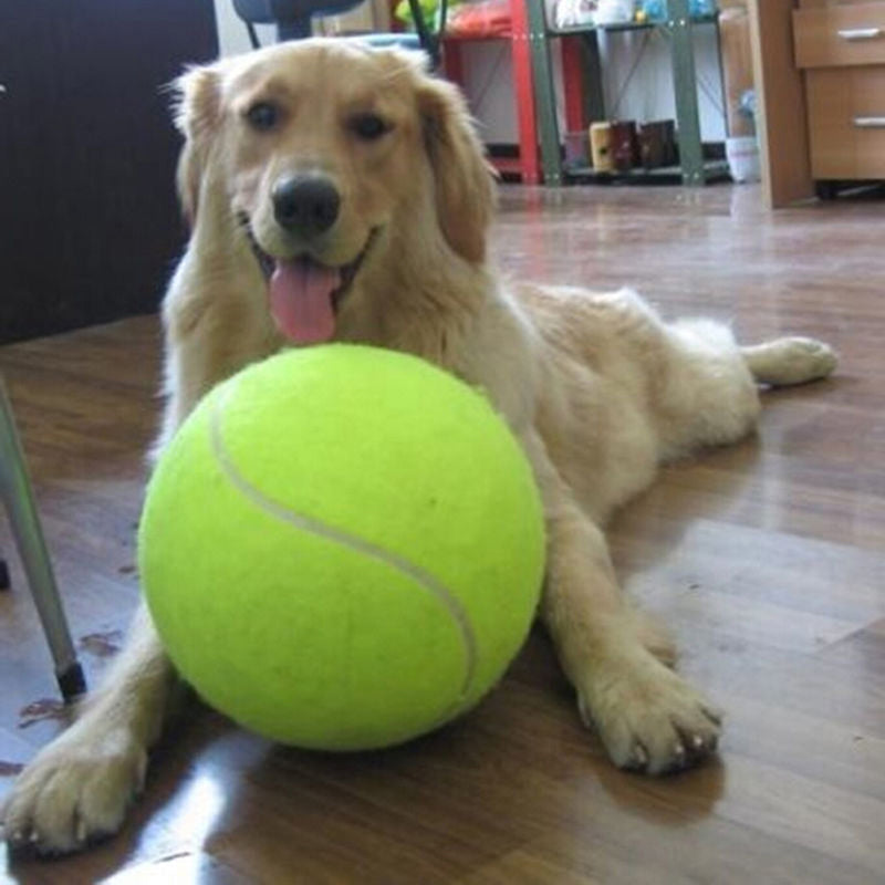 Big Dog Tennis Ball XXL 24cm Diameter - Halri