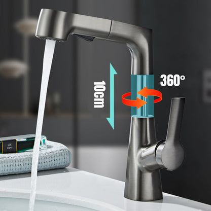 Stylish Kitchen Faucet With Pull-Out Spray Nozzle