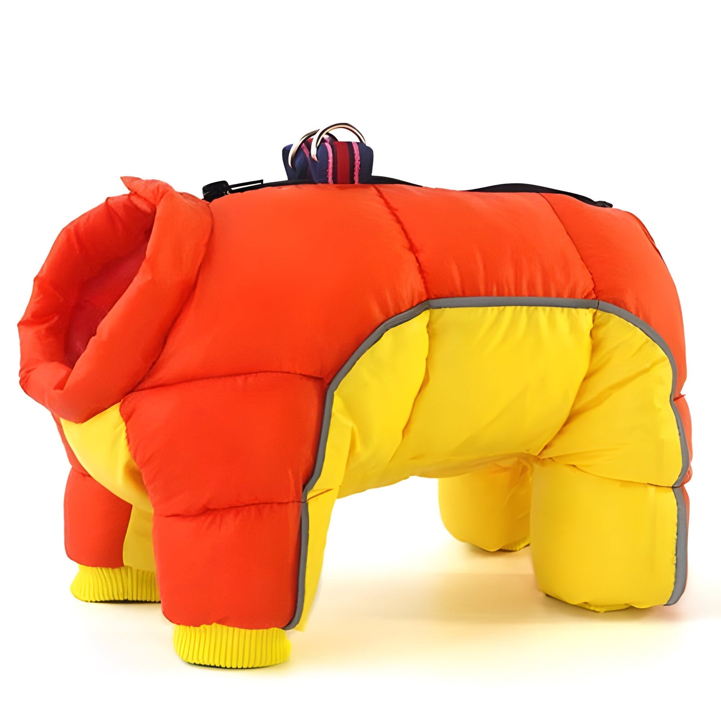 Rainproof Dog Jacket & Coat
