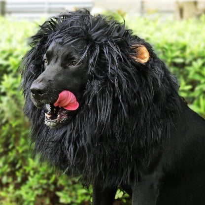 Perruque amusante pour chien à crinière de lion pour Halloween