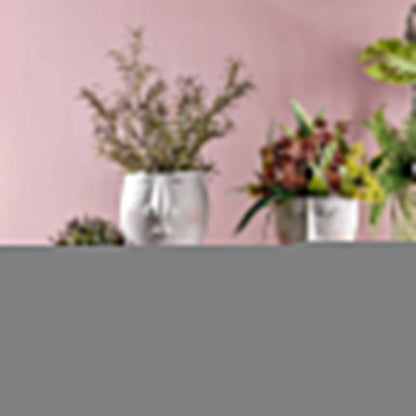 Unique Resin Planter Vase for Flowers - Halri