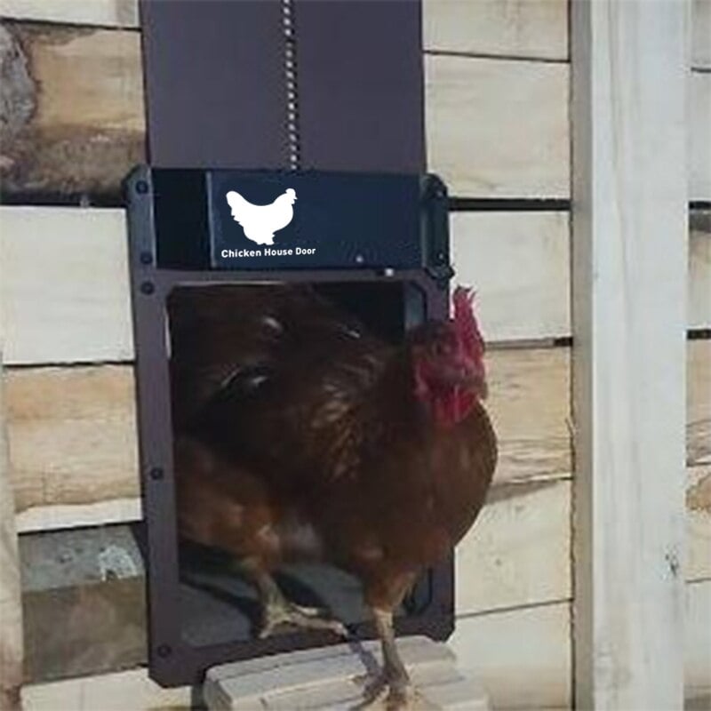 Easy Chicken Coop Door Opener With Automatic Light Sensor